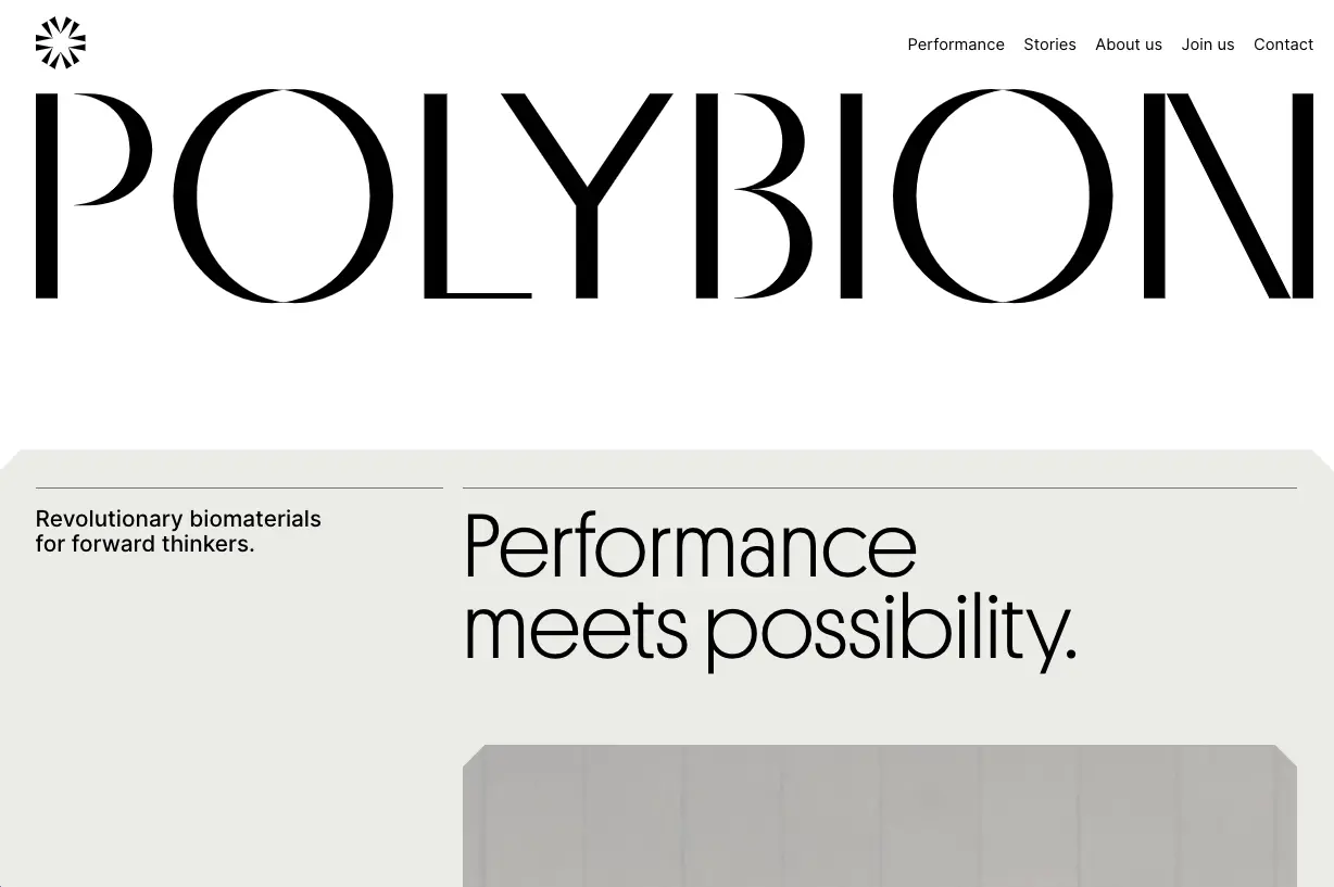 'Polybion' written in large letters, used as a hero 'image'.