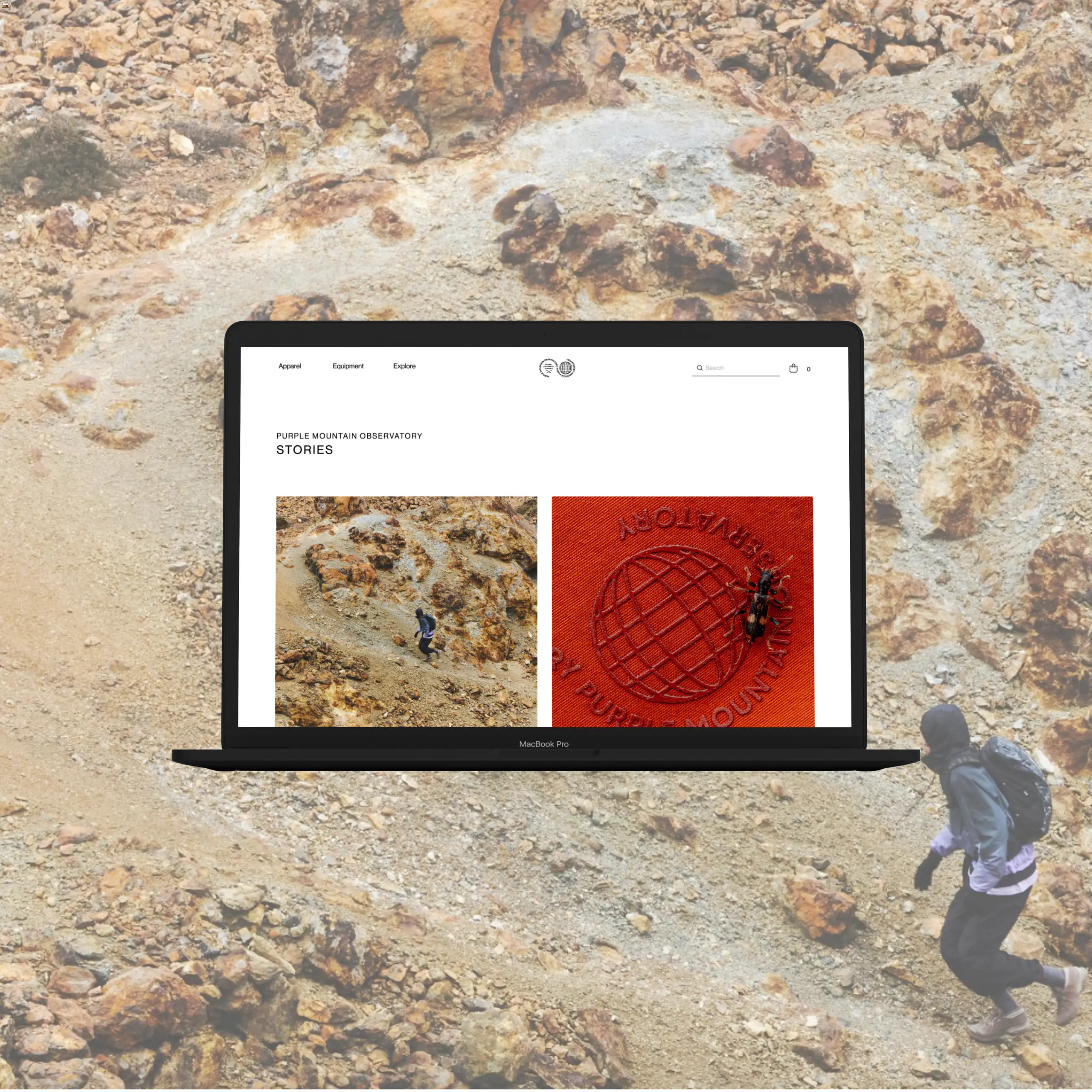 Featured image for “Purple Mountain Observatory”