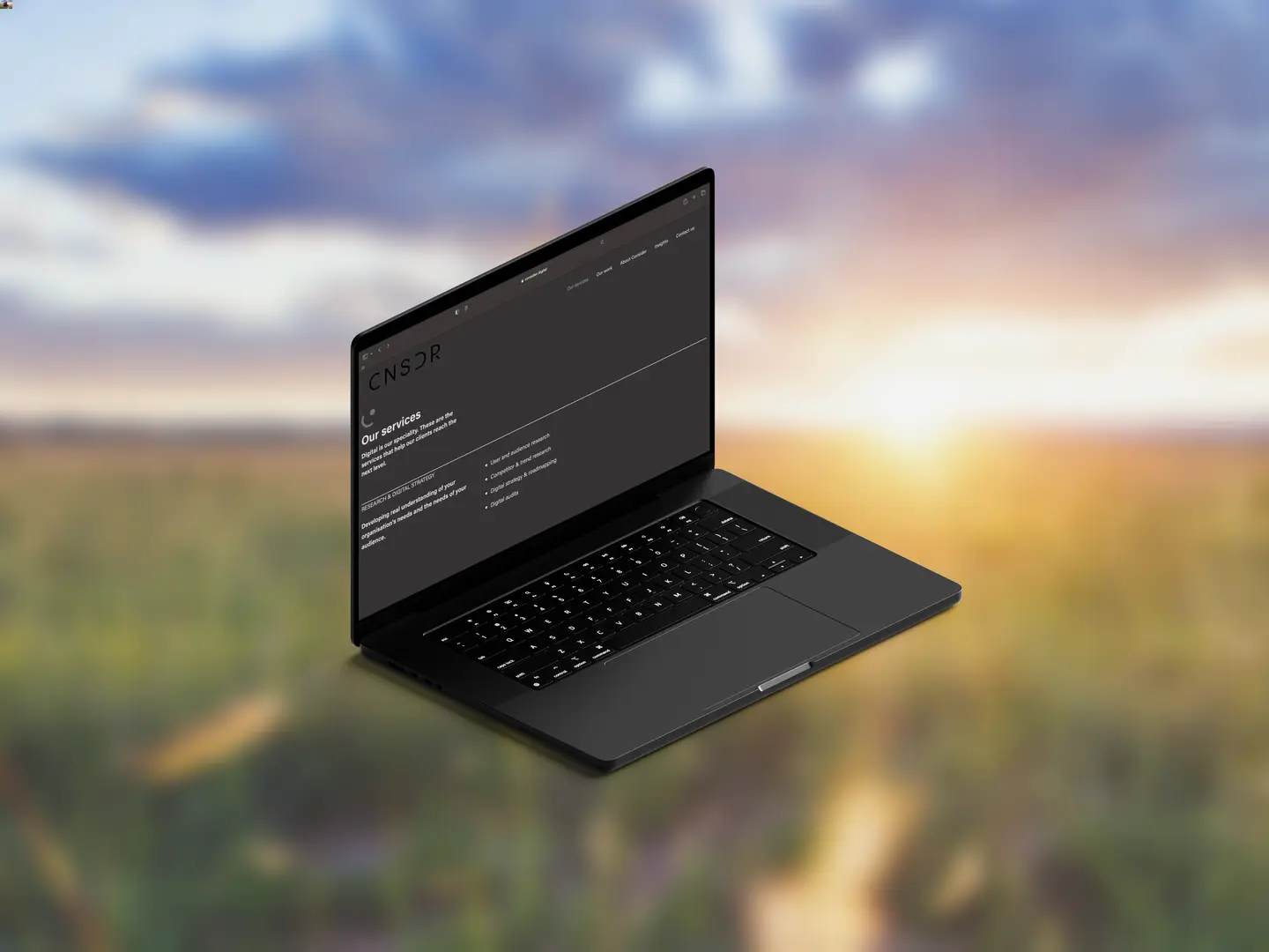 Image of a laptop infront of a sunset showing the Consider Digital services page