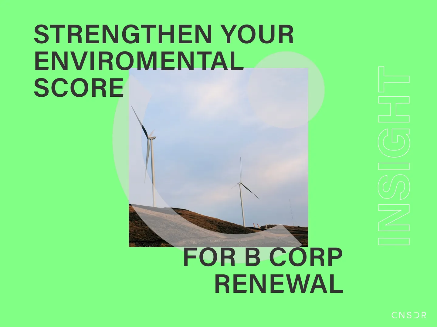 How Website Carbon Testing Helps Strengthen Your Environmental Score for B Corp Renewal