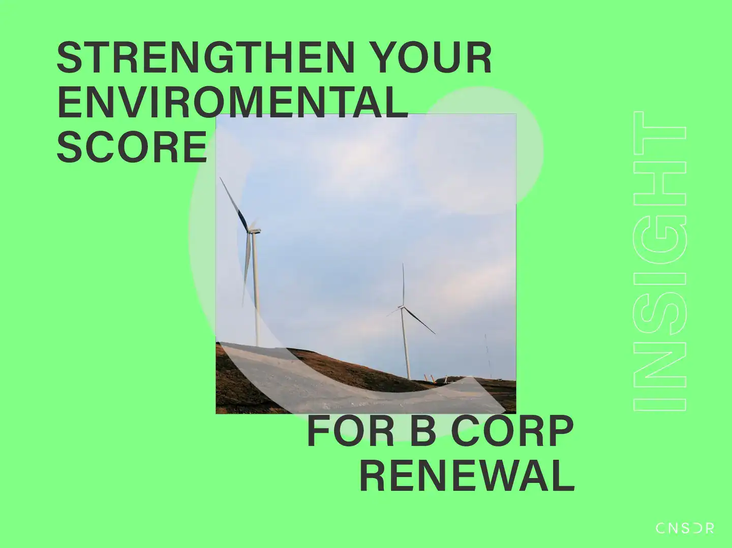 How Website Carbon Testing Helps Strengthen Your Environmental Score for B Corp Renewal