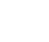 FizzBug